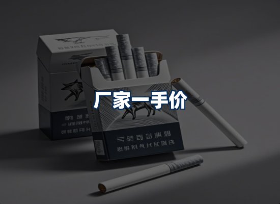 专业团队办公环境